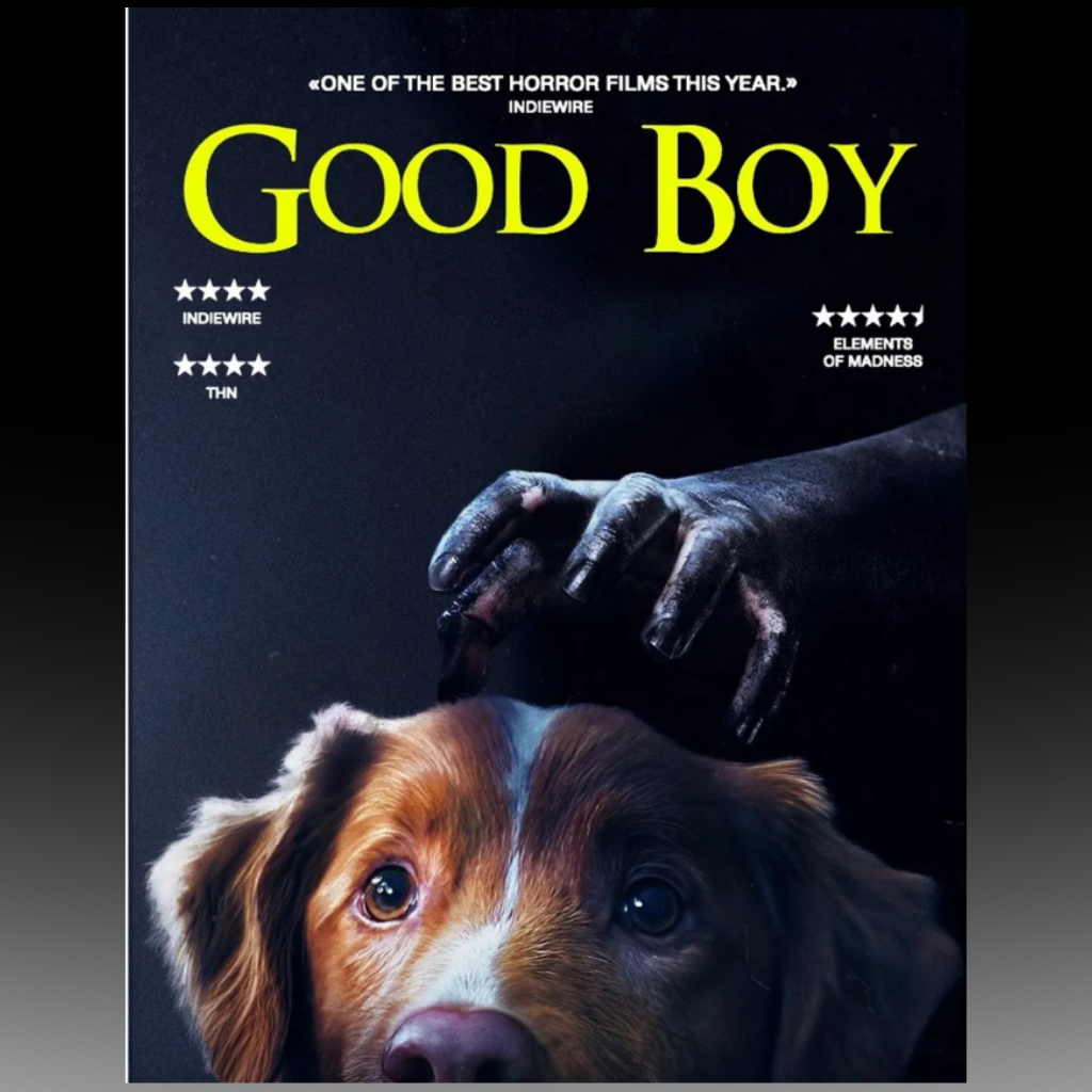 Good Boy