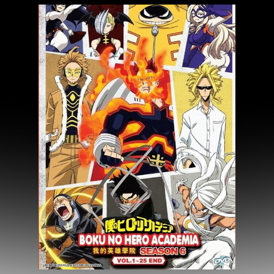 Boku No Hero Academia Season 6 Series (1-25 End) English