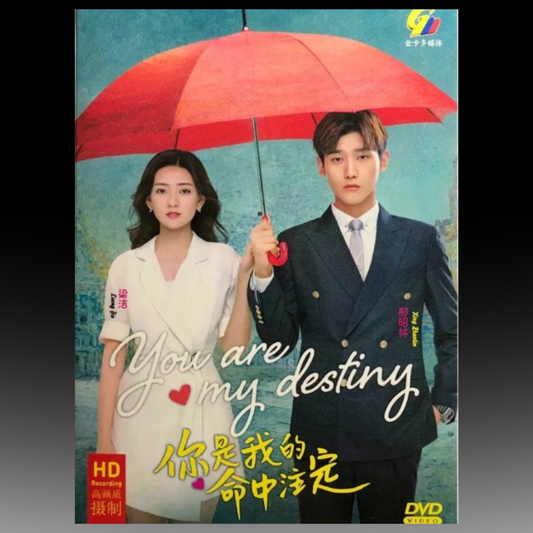 You Are My Destiny 你是我的命中注定 (1-36 End)