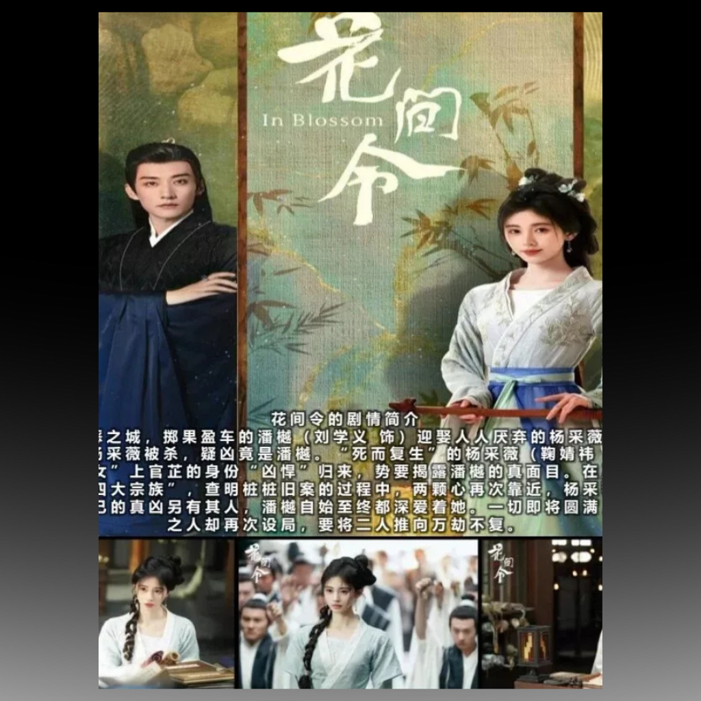 In Blossom (2024) Chinese Drama English Subtitles